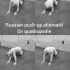 Russian push up alternatif en quadrupedie