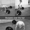 burpees over the bar