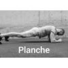 planche statique gainage core obliques transverses grand droit abs plank