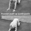 russian push up quadrupedie